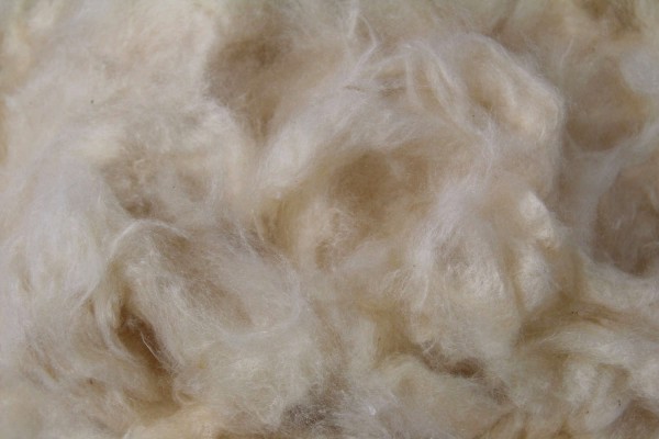 Naturkissen mit Kapok und Zirbenspänen, 40x80cm Nackenstützkissen