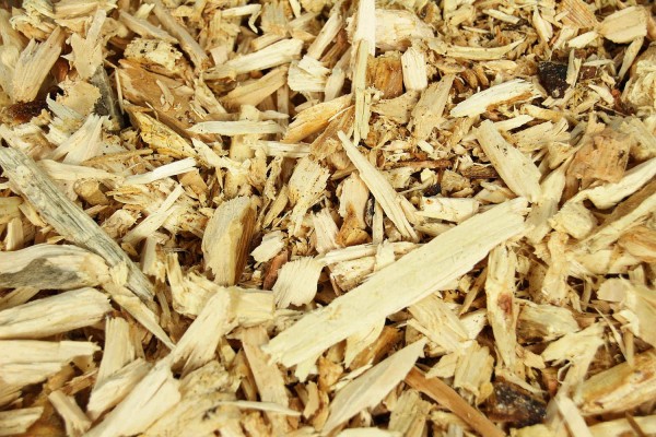 Zirben Hackschnitzel im Eimer, Zirbenflocken, Zirbenholz