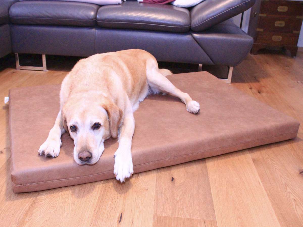 ralph lauren hundebett Ralph Lauren Home Cooling Dog Bed – bearsupreme main image 0