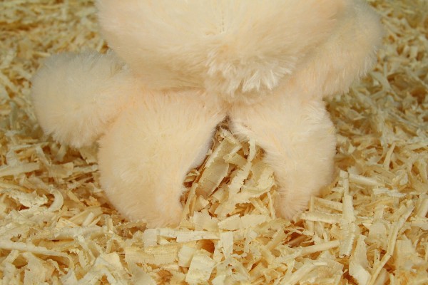 Kuscheltier Zirbenbär, 30cm, Füllung Zirbenspäne